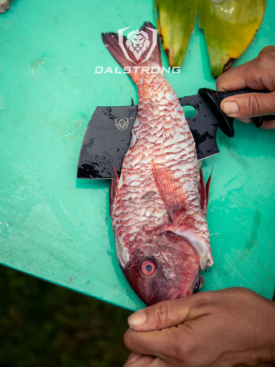 3-Piece Knife Set | Boning Knife, Hook Knife, Mini Cleaver | Night Shark Series | NSF Certified | Dalstrong © - Image 5