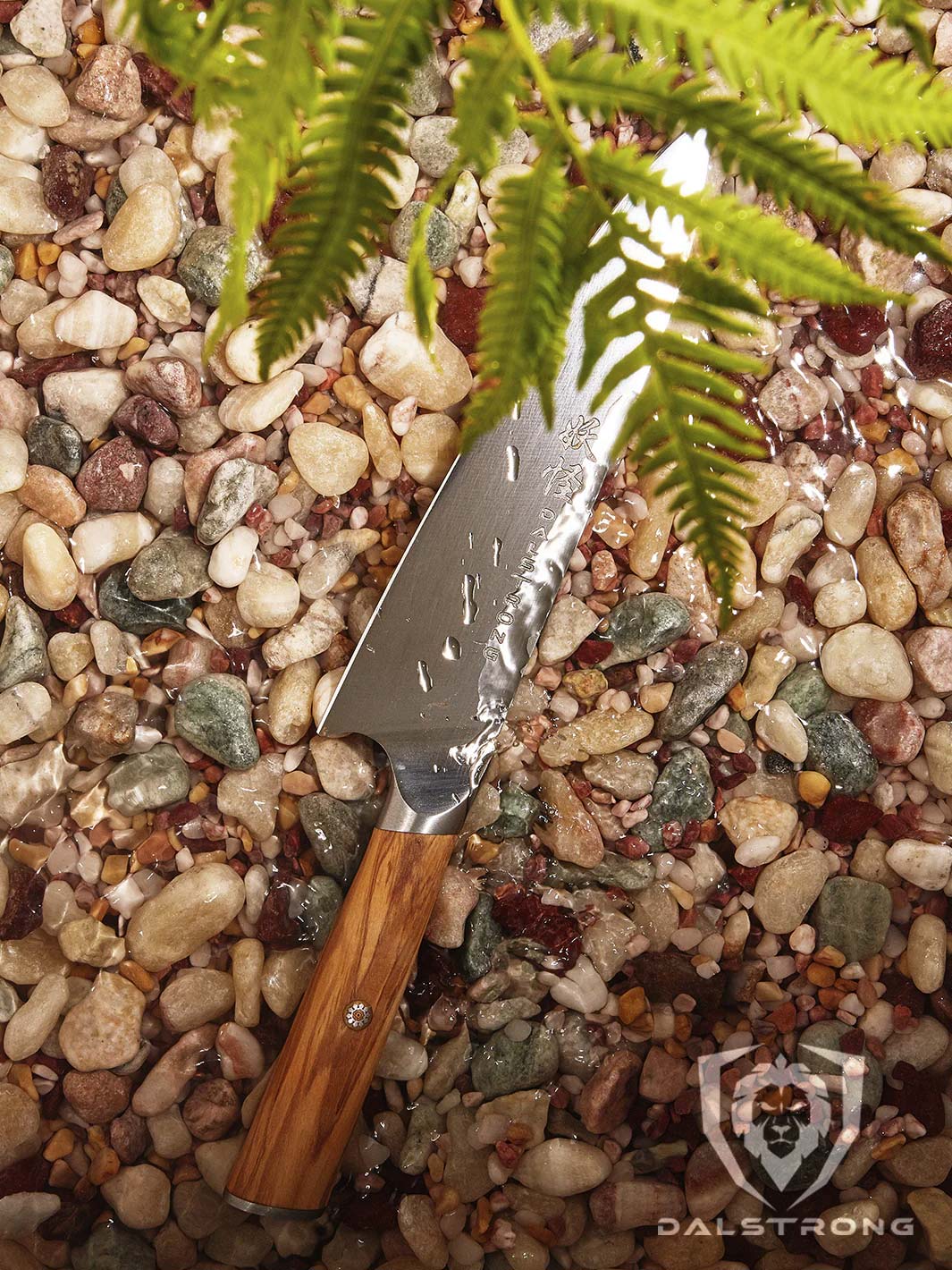 Chef's Knife 8" | Phantom Series | Dalstrong © - Image 18