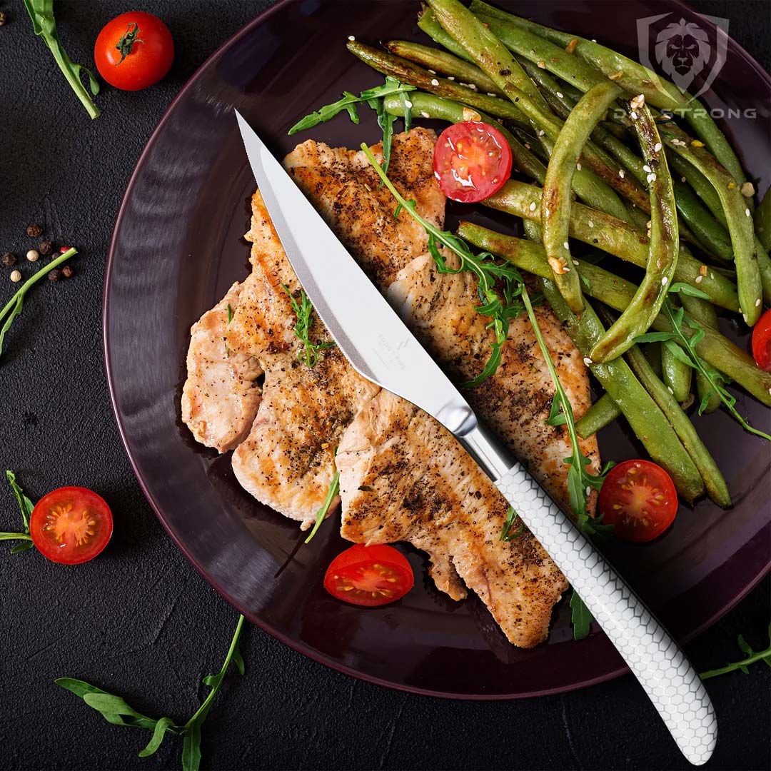 4-Piece Steak Knife Set | Frost Fire Series | NSF Certified | Dalstrong © - Image 7